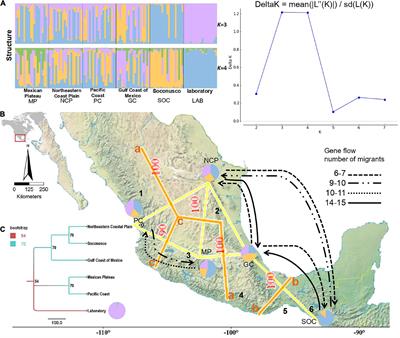 Nuclear genetic diversity and structure of Anastrepha ludens wild populations evidenced by microsatellite markers